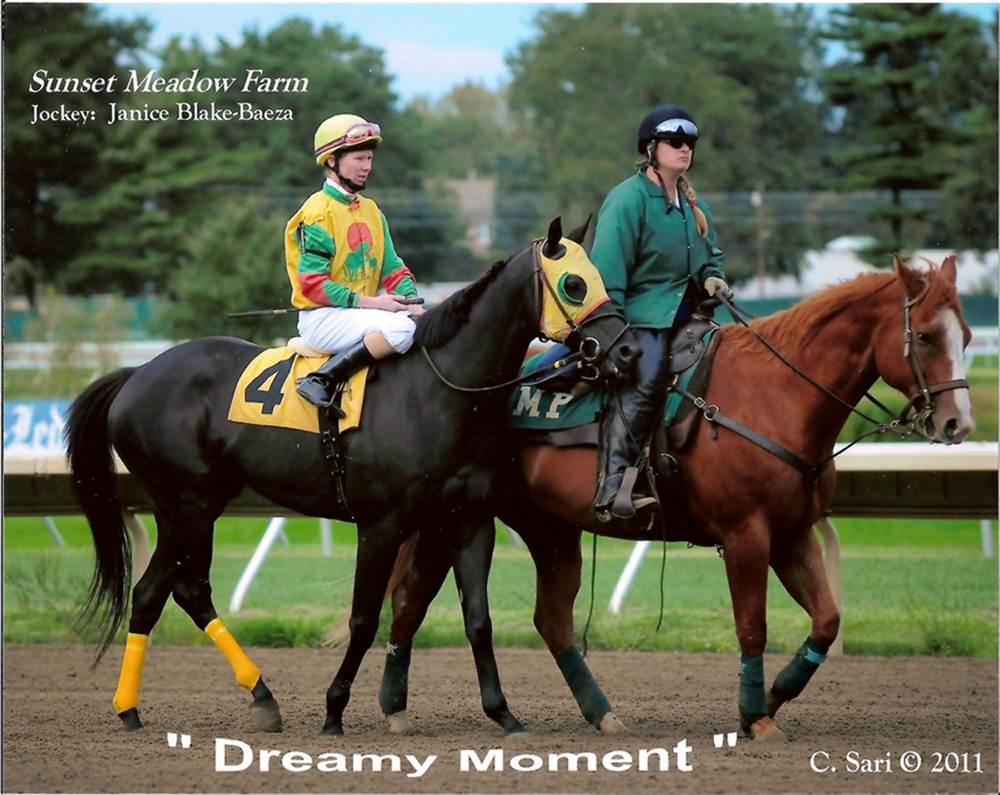 Janice L. Blakeon Dreamy Moment at Monmouth Park